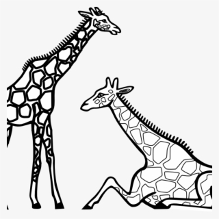 Giraffe Clipart Black And White Panda Free Images Clip - Giraffe Black N White Png