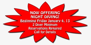 Paradise Night Dive Starburst Copy - Illustration