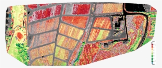 Red Nir Light Survey2 (jpg) Ndvi Gradient Applied Using - Motif