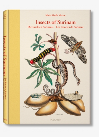 Insects Of Surinam - Maria Sibylla Merian Insects Of Surinam
