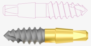 The Formal Design Of The Dentoss Implant - Bullet