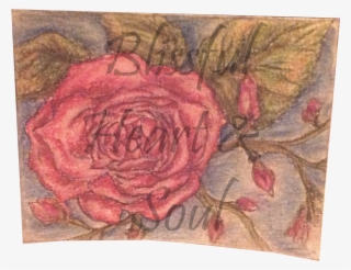 Rose Card - Hybrid Tea Rose