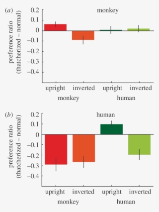 Preference For The Face Picture Above The Blank - Diagram