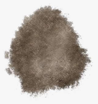 Dirt Patch 04 - Eye Shadow