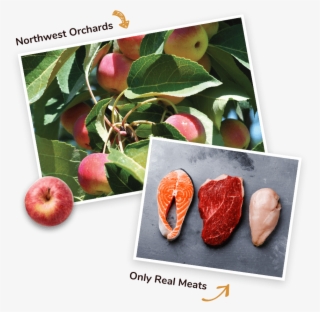 Real Meats And Fruits - Apple
