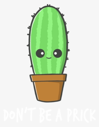 San Pedro Cactus