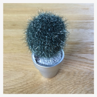 Transparent Succulents Tumblr Online Cactus - Hedgehog Cactus