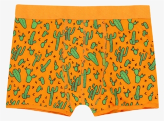 Cactus Men's Cactus Boxer Shorts - Board Short