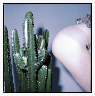 You Can View More Uhmet's Work By Heading Here - San Pedro Cactus