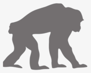 Chimpanzee Clipart Transparent - Chimpanzee Silhouette No Background