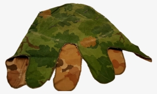 Genuine Issue U - Maidenhair Tree