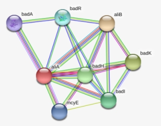 Alia Protein - Circle