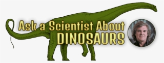 Ask A Scientist About Dinosaurs And Headshot Of Mark - Giant Anteater