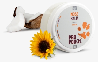 Unscented, Gentle Formula - Dog