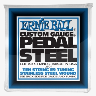 Ernie Ball E9 Pedal Steel Strings - Poster