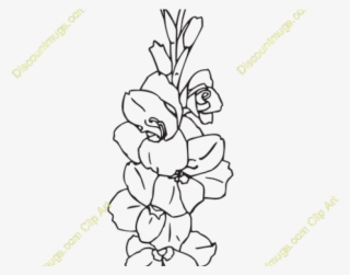 Gladiolus Clipart Cartoon - Line Art