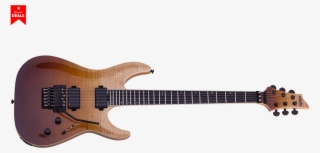 Elite Electric Guitars