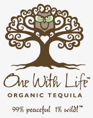Tequila Shots Png