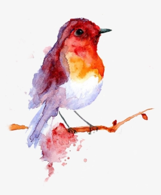 A Single Image Could Have Been Used - Painting Watercolor Bird