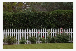 The Picket Fence Has Come To Represent The Suburbs - Picket Fence