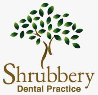 Tree Logo - Pottery Barn Kids