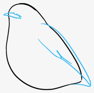 How To Draw Robin - Sketch