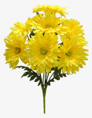 58205-ye - Chrysanths