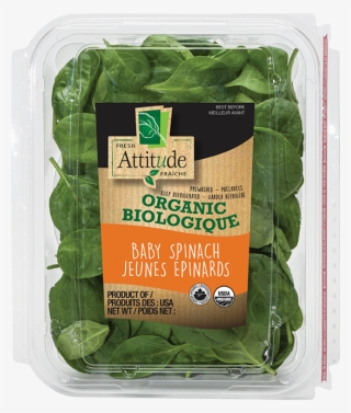 Organic Baby Spinach - Attitude Spinach