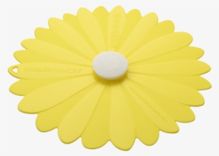 Certificate Seal Without Background