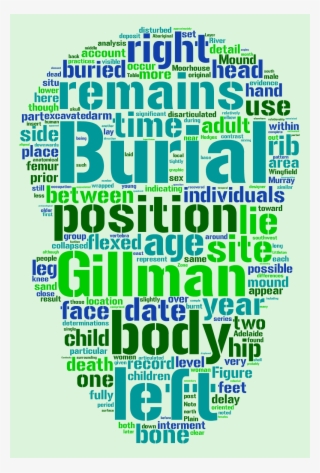 Littleton Et Al Aa77 Human Skull - Empreendedor Individual