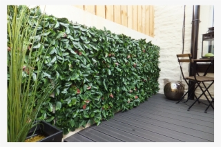 Artificial Hedge In Use - Hedge