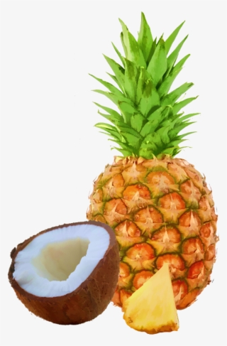 Nutraplex Pineapple Coconut Bar 15 Count - Individual Fruits And Vegetables