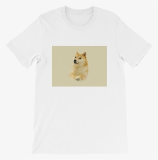 Shiba Inu
