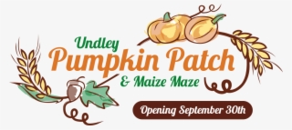 For Full Details On This Great Place For Picking Pumpkins - Actiepagina