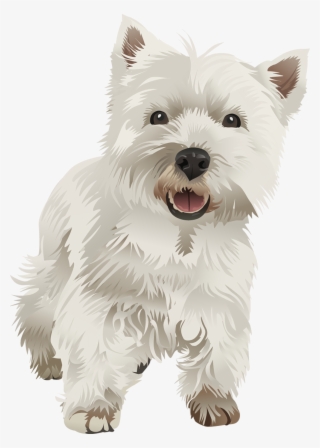 West Highland White Terrier Vector Png
