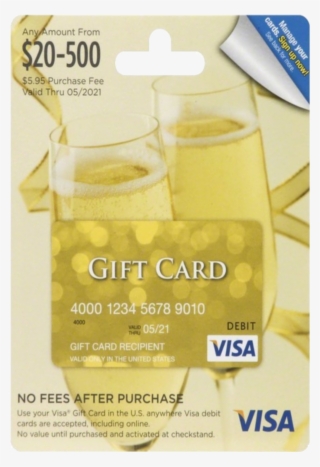 $20 Visa Gift Card