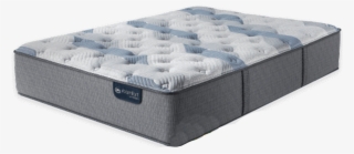 Image - Blue Fusion 100 Firm