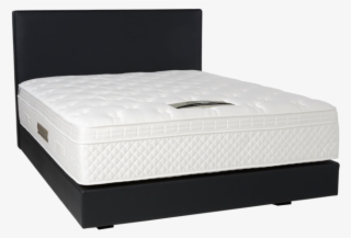 Serta Royalty Mattress - Bed Frame