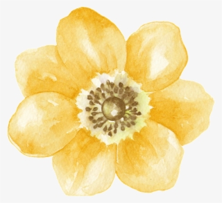 Yellow Fresh Flower Transparent Decorative - Flower