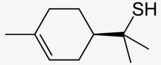 Grapefruit Mercaptan 2d Skeletal - 1 4 Dichlorobenzene Structure