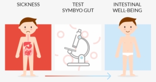 Health-intestinal - Cartoon