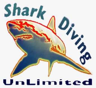 Next - Great White Shark