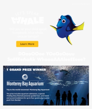 Let's Speak Whale Sweepstakes - Marlin