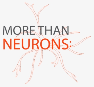 Final Program - - Graphic Design