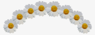 Ftestickers Sticker - Daisy Flower Crown Png