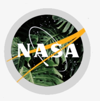 Aesthetic Nasa Logo