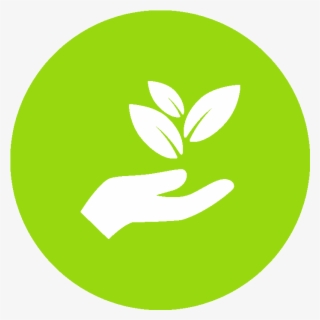 Our Innovative Cultivation Method Draws Influence From - Reduce Environmental Impact Icon