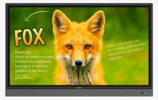 Rp653k 65″ Education Interactive Flat Panel - Benq Rp653k