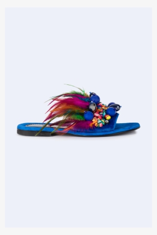 Size Guide - Shoe