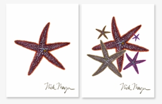 Sign Up And Get 10% Off - Starfish